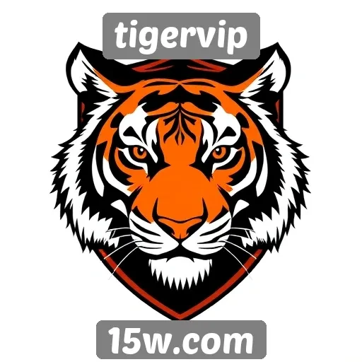 Segurança nas transações do site tigervip